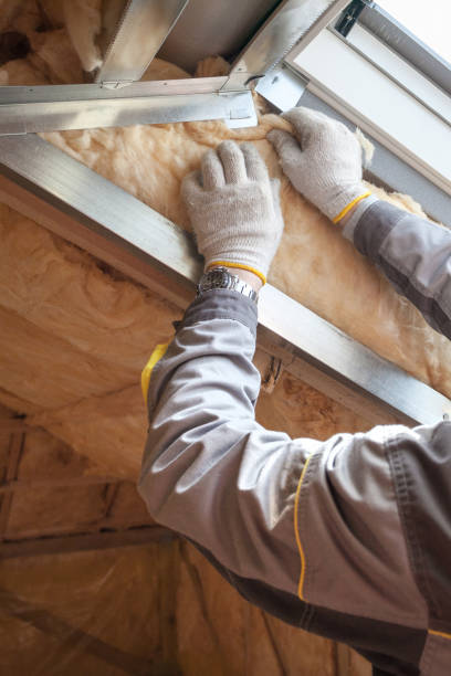 Best Residential Insulation in Friendship Heights Village, MD